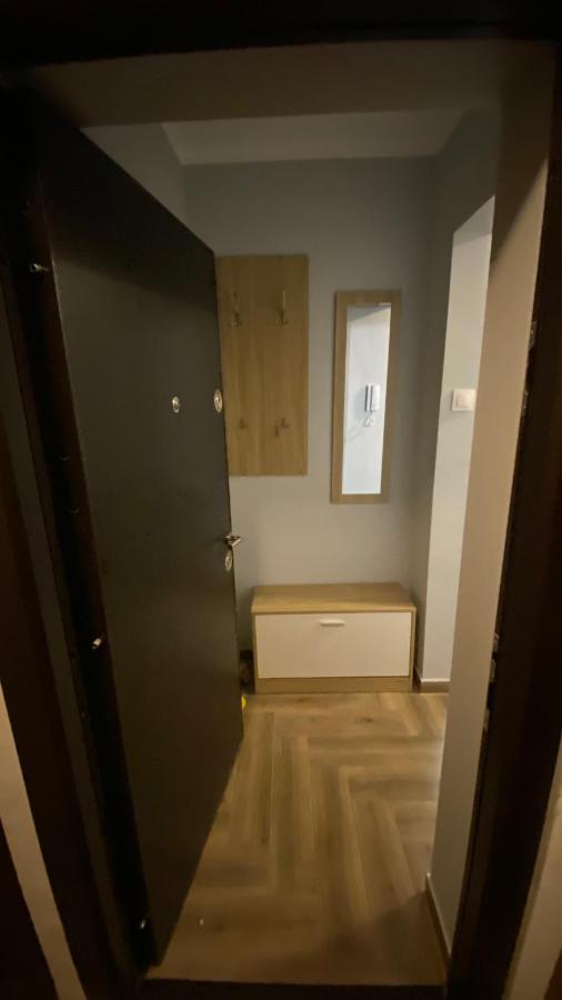 Dacia Apartment Timişoara Exterior foto