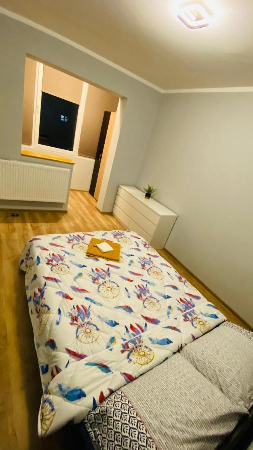 Dacia Apartment Timişoara Exterior foto